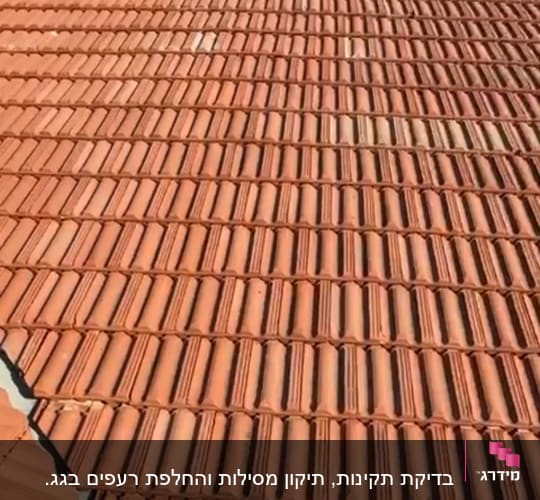 גג רעפים אדומים מסודרים בשורות